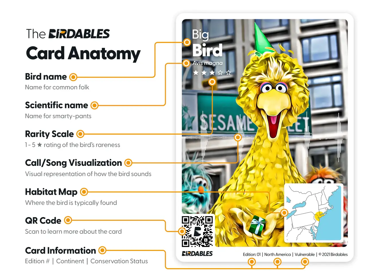 Birdables card anatomy diagram