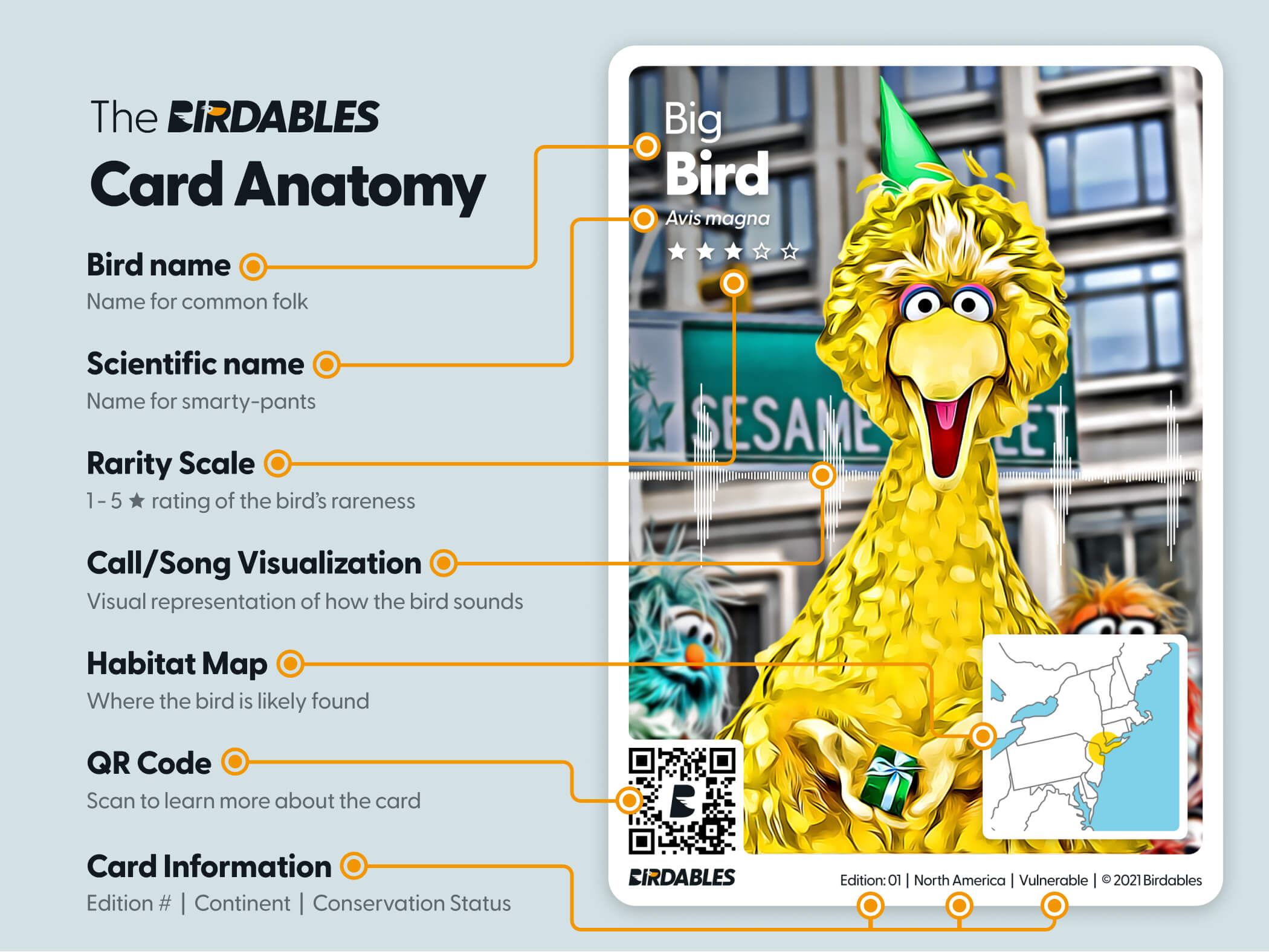 Birdables card anatomy diagram