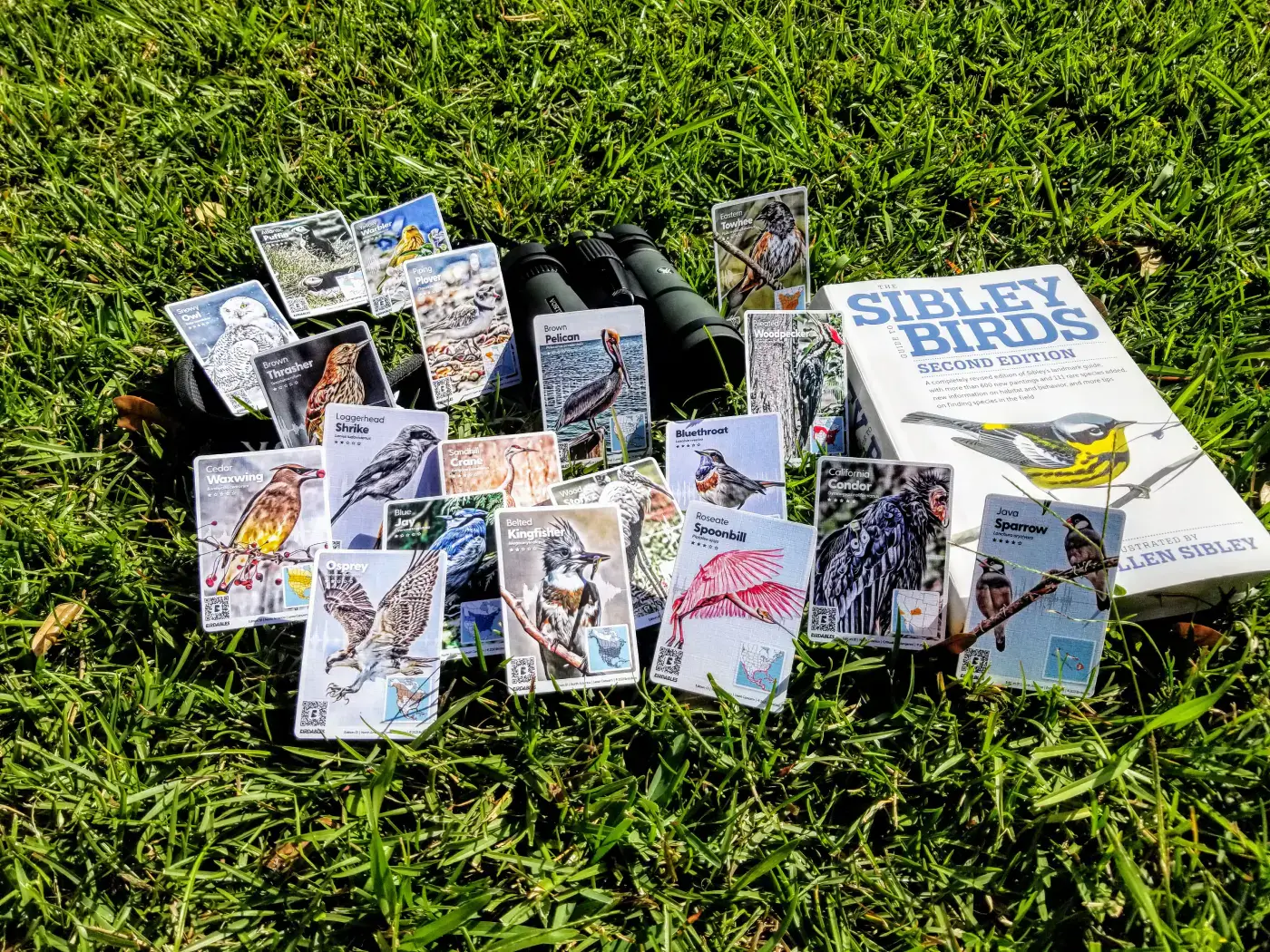 Cards on grass