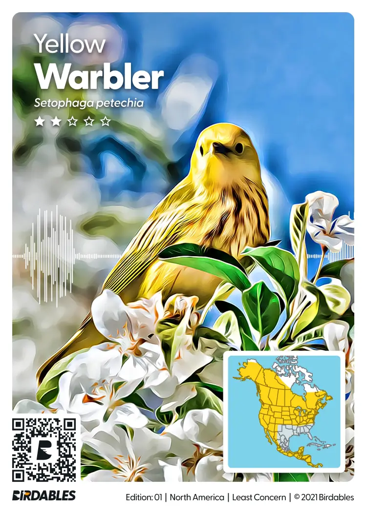 Yellow Warbler card