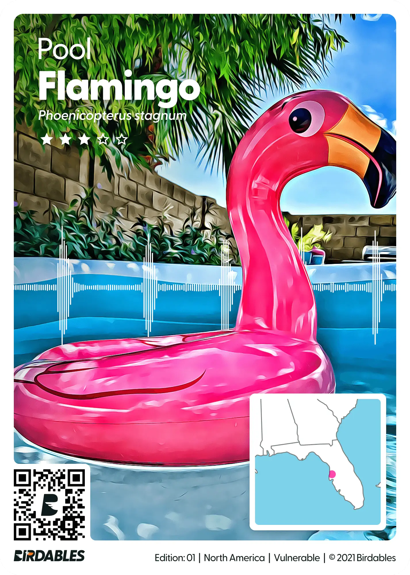 Pool Flamingo Card
